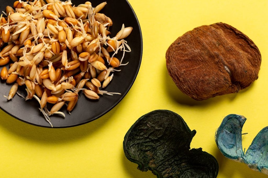 Photo High-Protein, Low-Carb Meals